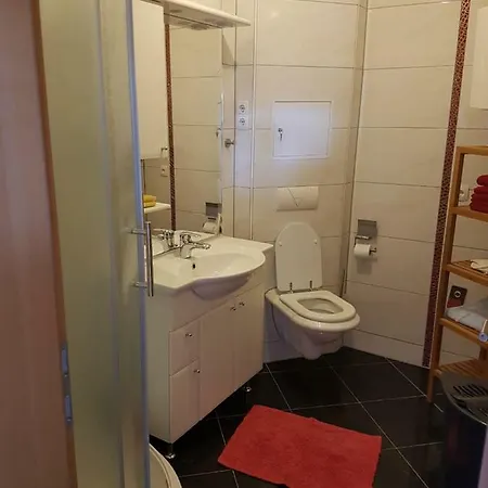 Apartment Kozina *